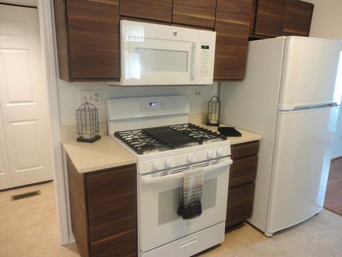 272 Wildspring Ct, Itasca, IL 60143 photo 7