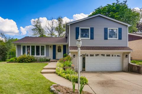 2011 E Wintergreen Ave, Mount Prospect, IL 60056 photo 1