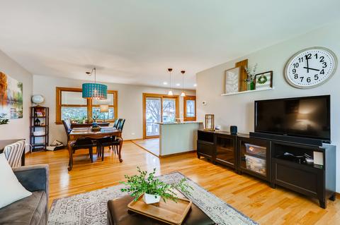 2011 E Wintergreen Ave, Mount Prospect, IL 60056 photo 10