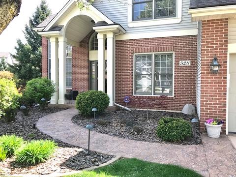 928 Riverstone Dr, Aurora, IL 60502 photo 2