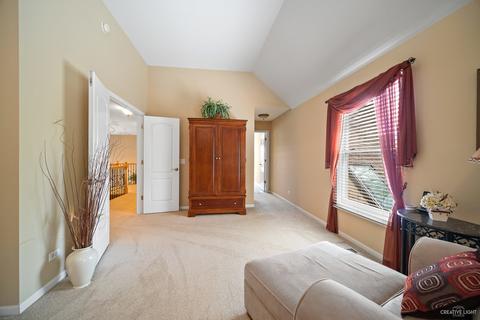 928 Riverstone Dr, Aurora, IL 60502 photo 28