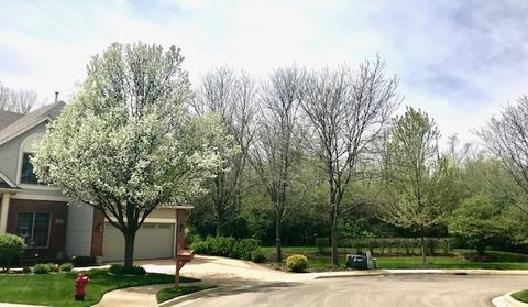 928 Riverstone Dr, Aurora, IL 60502 photo 7