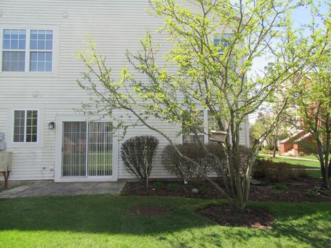 690 Mill Cir #101, Wheeling, IL 60090 photo 4