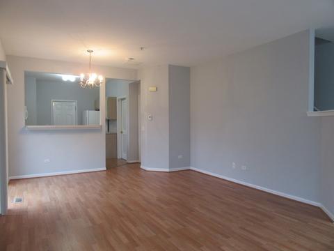 690 Mill Cir #101, Wheeling, IL 60090 photo 8