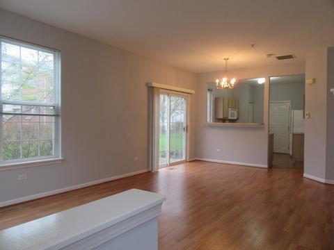 690 Mill Cir #101, Wheeling, IL 60090 photo 5