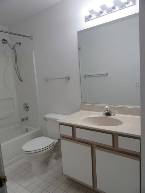 690 Mill Cir #101, Wheeling, IL 60090 photo 17