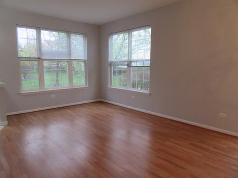 690 Mill Cir #101, Wheeling, IL 60090 photo 9
