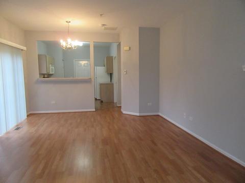 690 Mill Cir #101, Wheeling, IL 60090 photo 6
