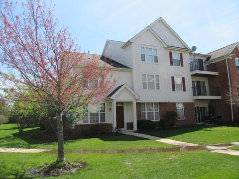 690 Mill Cir #101, Wheeling, IL 60090 photo 1