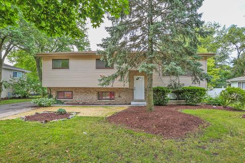 229 W Devon Ave, Roselle, IL 60172 photo 1