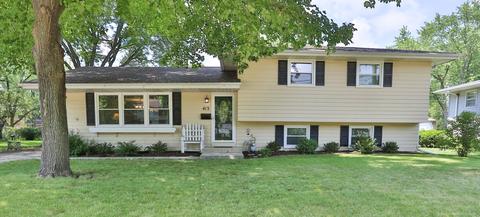 413 W Gartner Rd, Naperville, IL 60540 photo 1