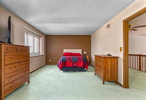 23061 Judith Dr, Plainfield, IL 60586 photo 7