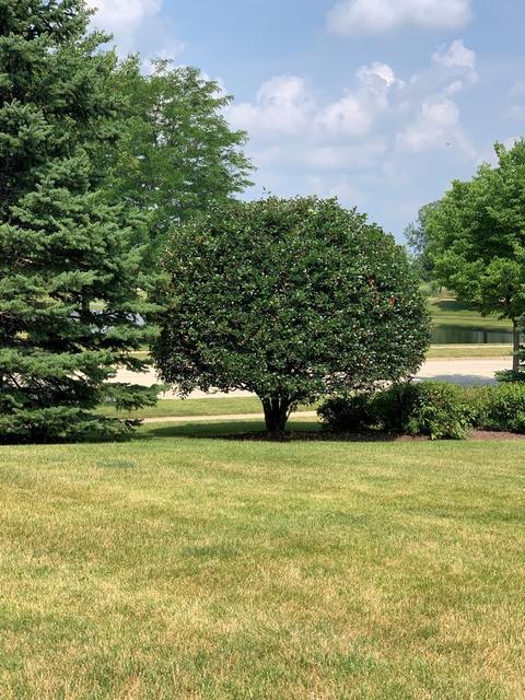 2423 Stonegate Rd, Algonquin, IL 60102 photo 50