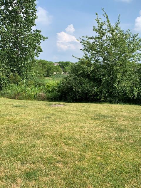 2423 Stonegate Rd, Algonquin, IL 60102 photo 49