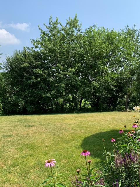 2423 Stonegate Rd, Algonquin, IL 60102 photo 48