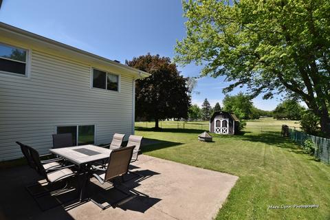 816 Forest Ct, Bartlett, IL 60103 photo 28