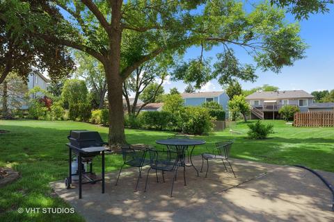 1165 Singleton Dr, Roselle, IL 60172 photo 17