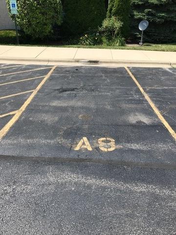 231 N Mill Rd #8, Addison, IL 60101 photo 26