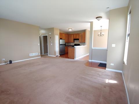 1551 Millbrook Dr, Algonquin, IL 60102 photo 19
