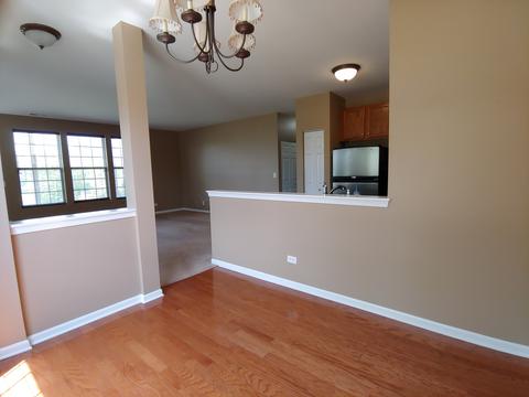 1551 Millbrook Dr, Algonquin, IL 60102 photo 14