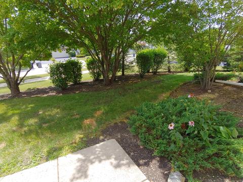 1551 Millbrook Dr, Algonquin, IL 60102 photo 4