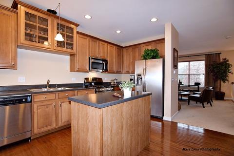 222 Comstock Dr, Elgin, IL 60124 photo 8