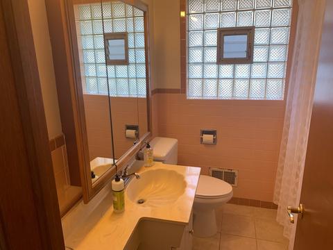 2253 Elizabeth Dr, Broadview, IL 60155 photo 14