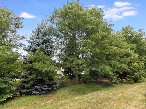 4036 Boulder Ct, Aurora, IL 60504 photo 23