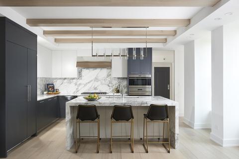 20 E Cedar St #18D, Chicago, IL 60611 photo 3