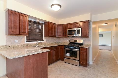 7101 Thomas Ave, Bridgeview, IL 60455 photo 3