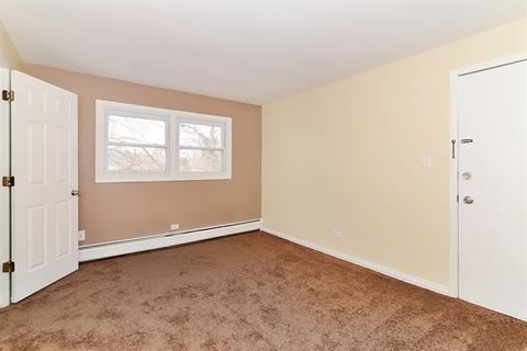 7101 Thomas Ave, Bridgeview, IL 60455 photo 6