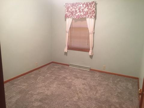 306 Lance St, Spring Valley, IL 61362 photo 8