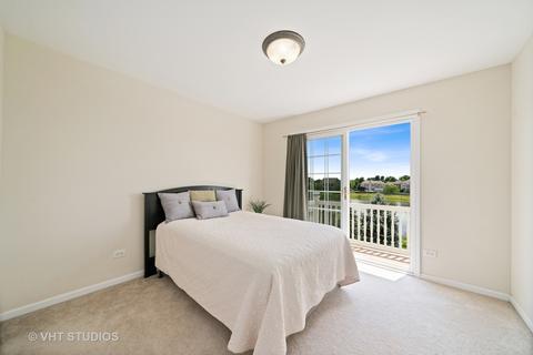 13603 Arborview Blvd, Plainfield, IL 60585 photo 17