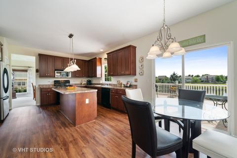 13603 Arborview Blvd, Plainfield, IL 60585 photo 8