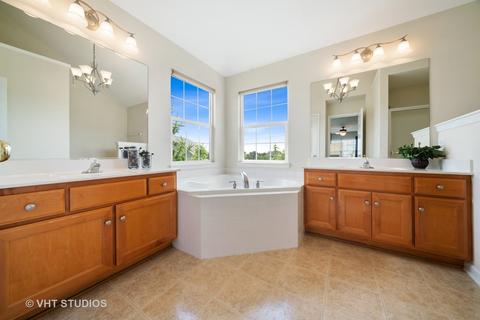 13603 Arborview Blvd, Plainfield, IL 60585 photo 16