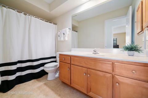 13603 Arborview Blvd, Plainfield, IL 60585 photo 20