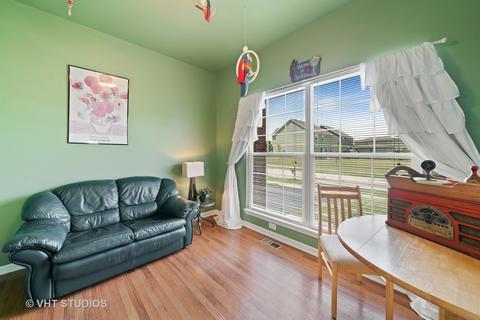 13603 Arborview Blvd, Plainfield, IL 60585 photo 4
