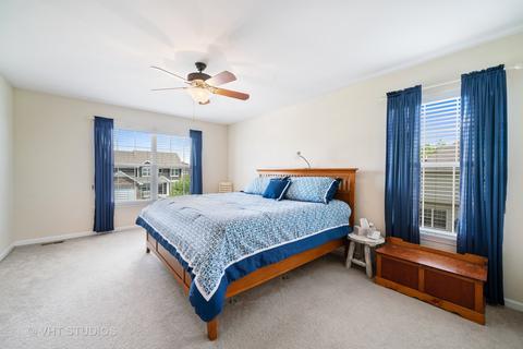 13603 Arborview Blvd, Plainfield, IL 60585 photo 15