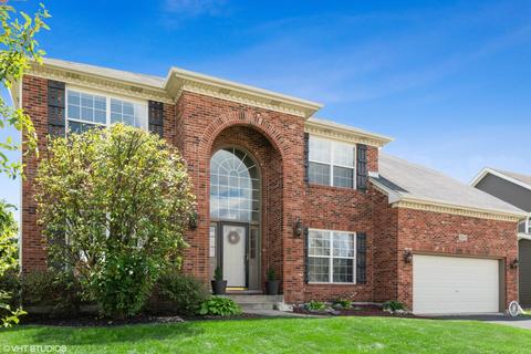 13603 Arborview Blvd, Plainfield, IL 60585 photo 1