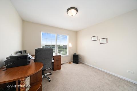 13603 Arborview Blvd, Plainfield, IL 60585 photo 18