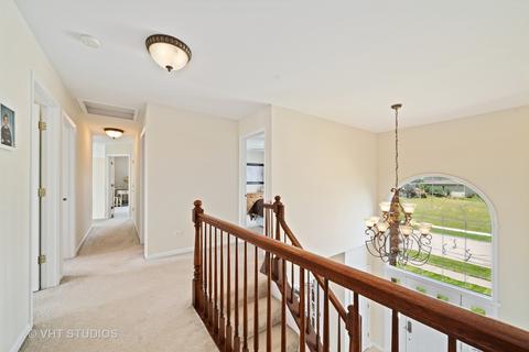 13603 Arborview Blvd, Plainfield, IL 60585 photo 12