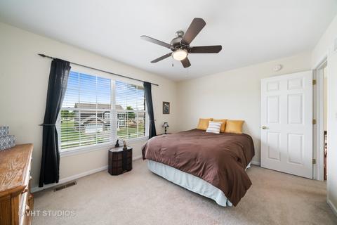 13603 Arborview Blvd, Plainfield, IL 60585 photo 19