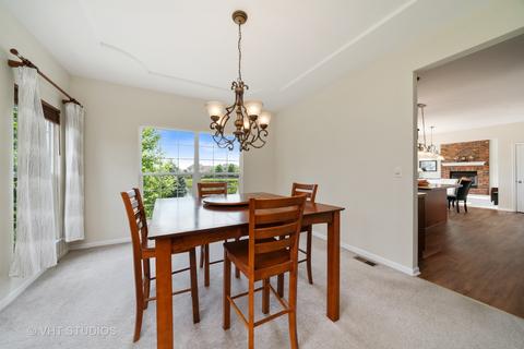 13603 Arborview Blvd, Plainfield, IL 60585 photo 6