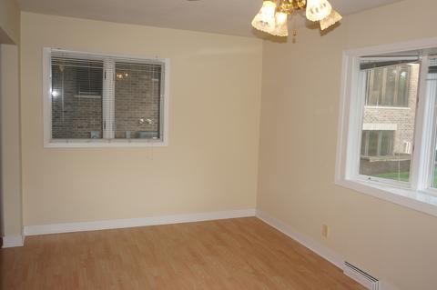 730 E Bauer Rd, Naperville, IL 60563 photo 13