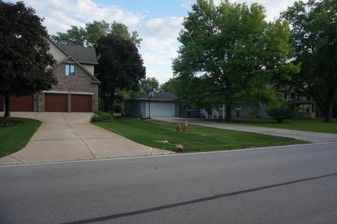 730 E Bauer Rd, Naperville, IL 60563 photo 9