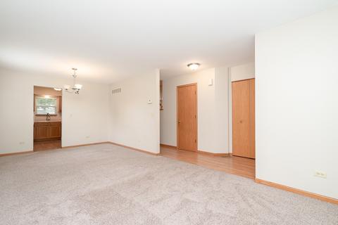 2212 Willow Lakes Dr, Plainfield, IL 60586 photo 4