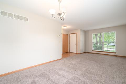 2212 Willow Lakes Dr, Plainfield, IL 60586 photo 2