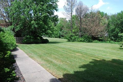302 E Hackberry Dr, Arlington Heights, IL 60004 photo 21