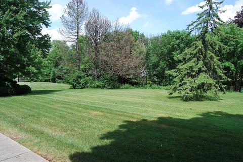 302 E Hackberry Dr, Arlington Heights, IL 60004 photo 20
