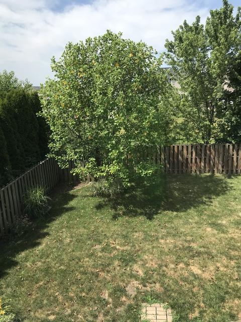 1824 Saltonstall Dr, Normal, IL 61761 photo 34